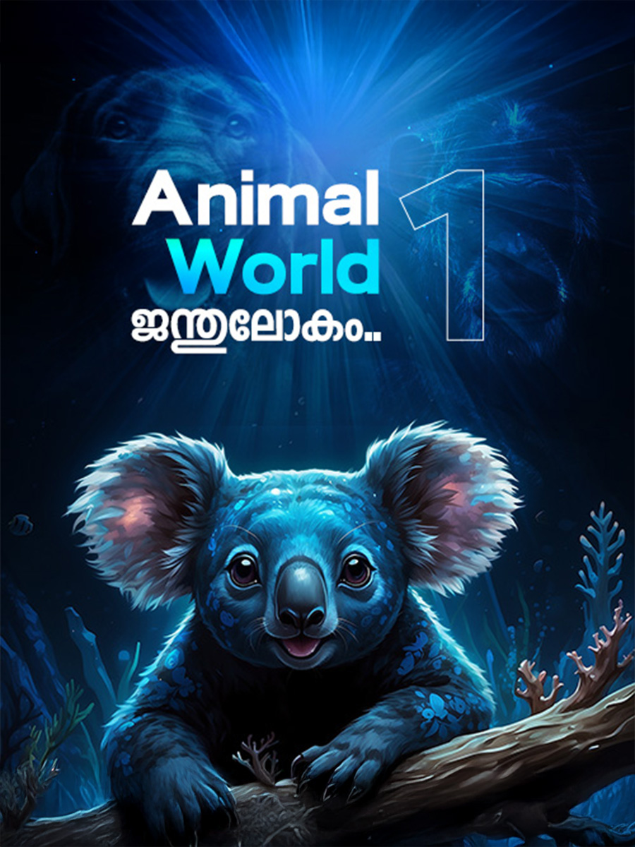 ANIMAL WORLD 1.jpg