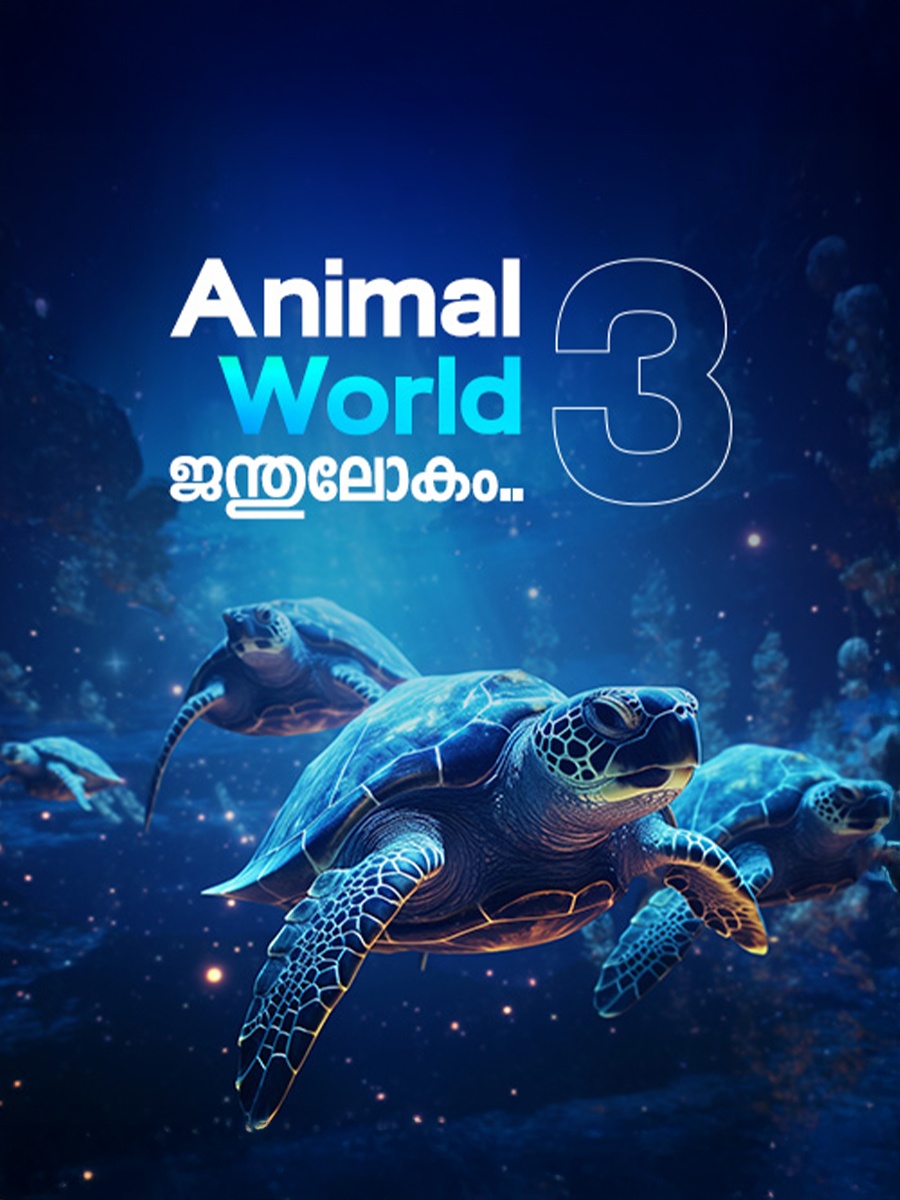 ANIMAL WORLD 3.jpg (1)