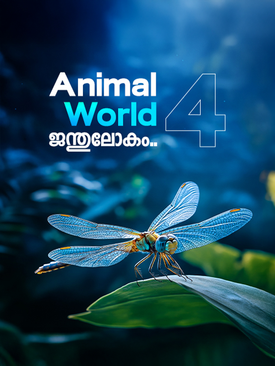 ANIMAL WORLD 4.jpg (1)