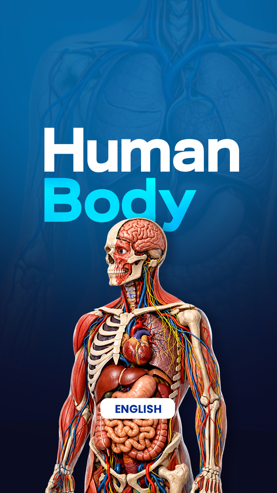 Human Body EN 900x1600.jpg