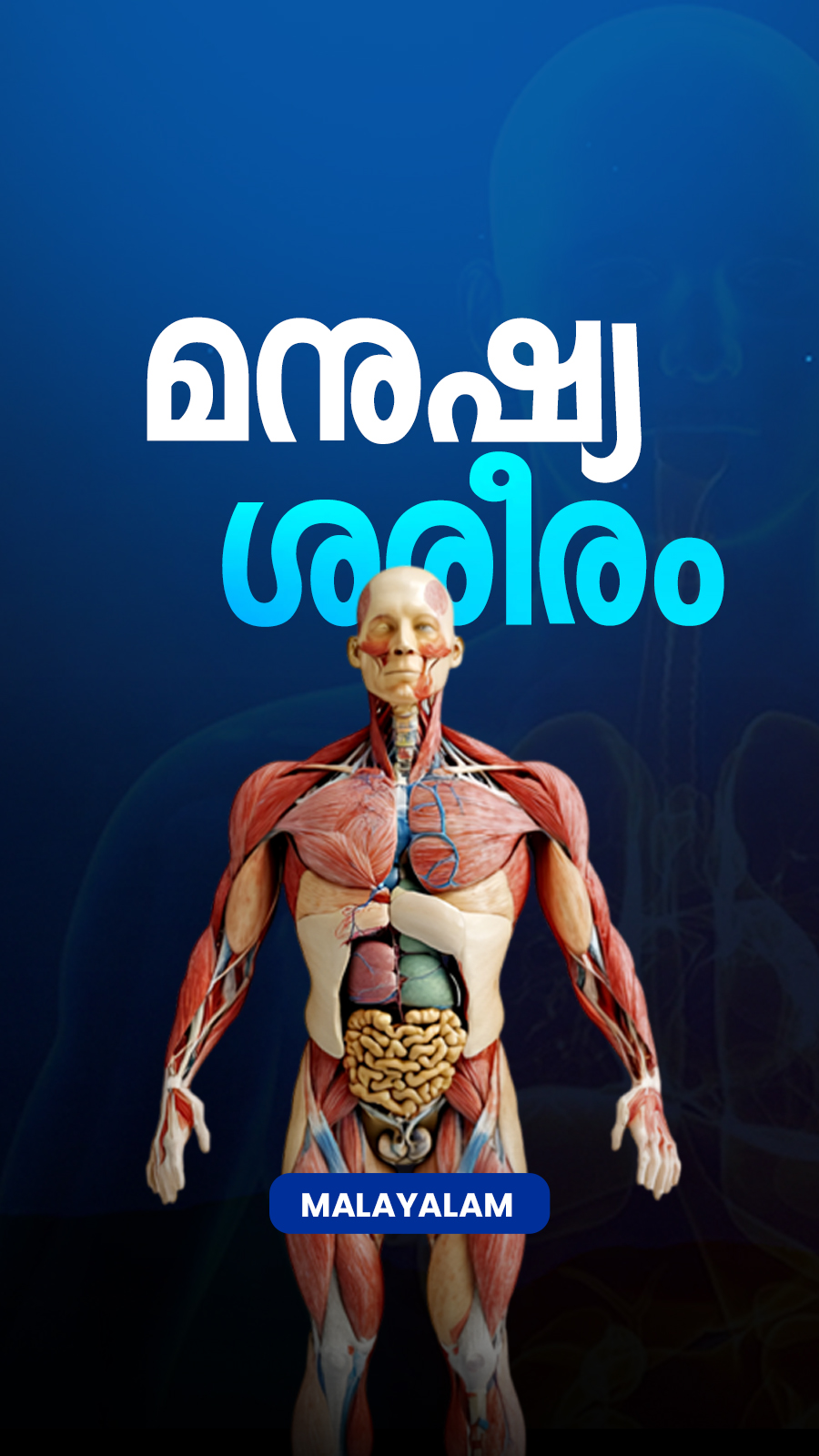 Human Body ML 900x1600.jpg